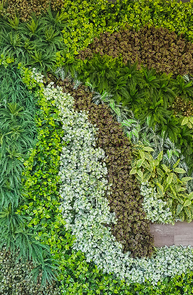 Large feature Green-Wall in apartment entry courtyard... image 5