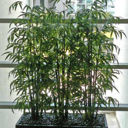 Trough Planters- with Bamboos 1.6m tall - artificial plants, flowers & trees - image 1