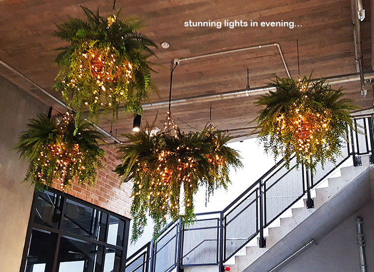 Lush green & dazzling lights- huge artificial hanging-baskets in shopping centre image 6