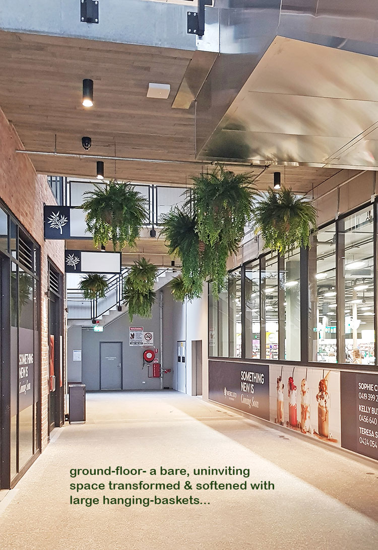 Lush green & dazzling lights- huge artificial hanging-baskets in shopping centre image 3