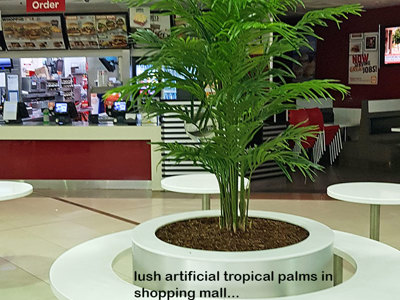 Tropical Palms in Shopping Mall eatery...