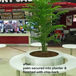 Areca Palm 2.1m - artificial plants, flowers & trees - image 2