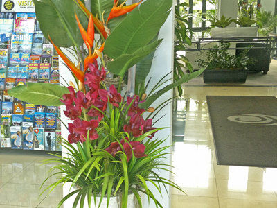 Tropical Resort Feel - adding vibrant colours with artificial plants...