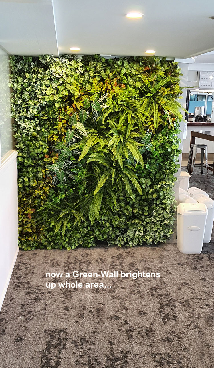 Greenery features in great Surf Club renovation... image 6