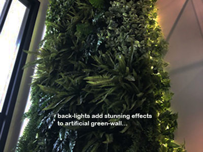 Back-lights add 'cool mood' to tall green-wall in lobby...