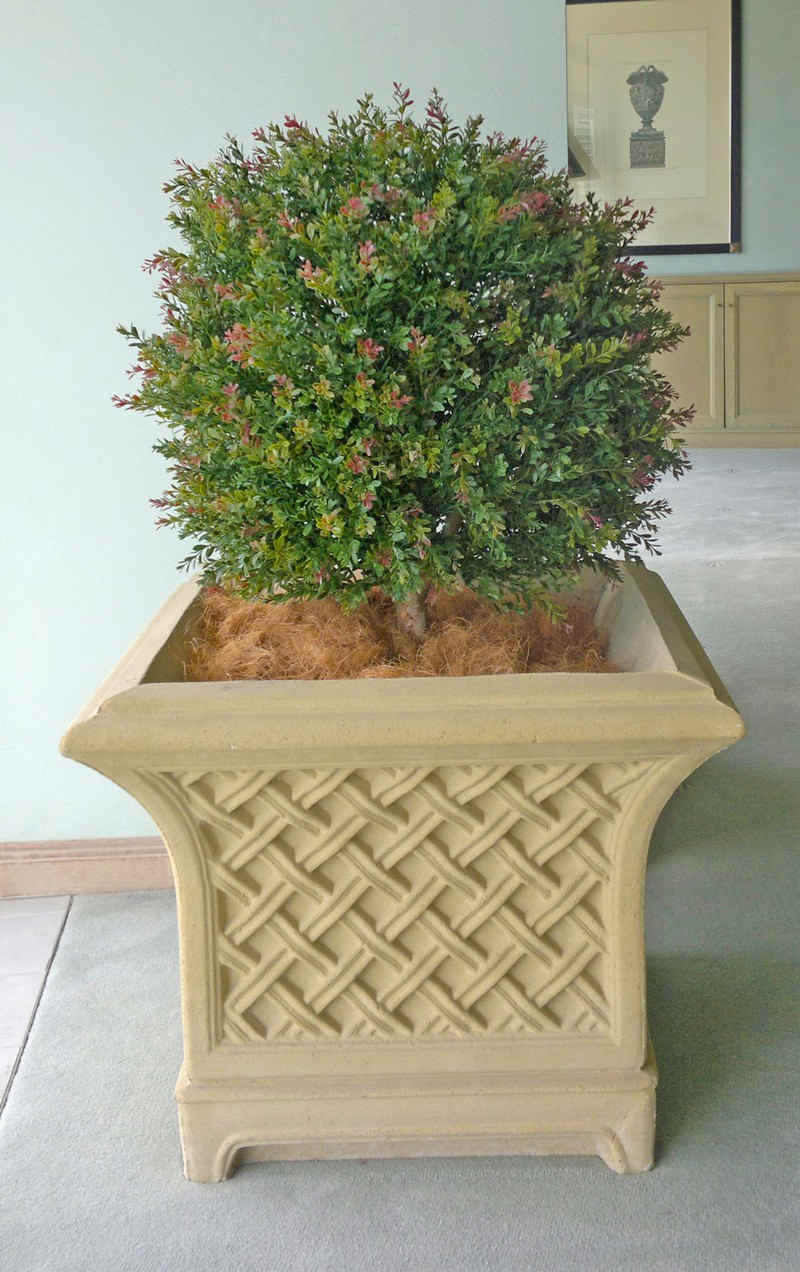 Large Apartment Foyer with large spectacular plants to match... image 10