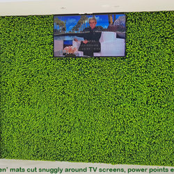 Wall-Panels- Boxwood UV panel  - artificial plants, flowers & trees - image 4
