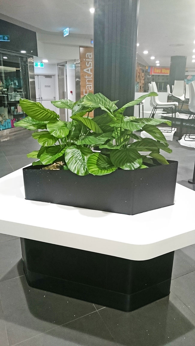 Table-Planters in Mall Eatery... image 4