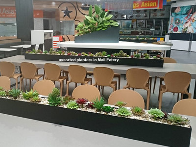 Table-Planters in Mall Eatery...