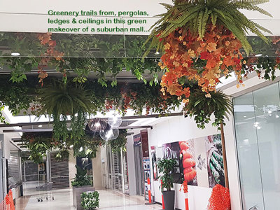 Green-makeover for Regional mall...