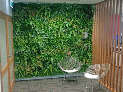 Office Entry Revamped with Green-Wall