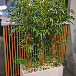 Trough Planters- with Bamboos 1.6m tall - artificial plants, flowers & trees - image 4