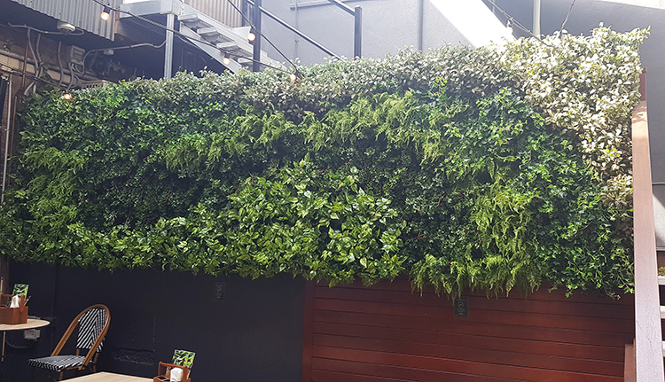 Before & After Shots..... Green-Walls 6