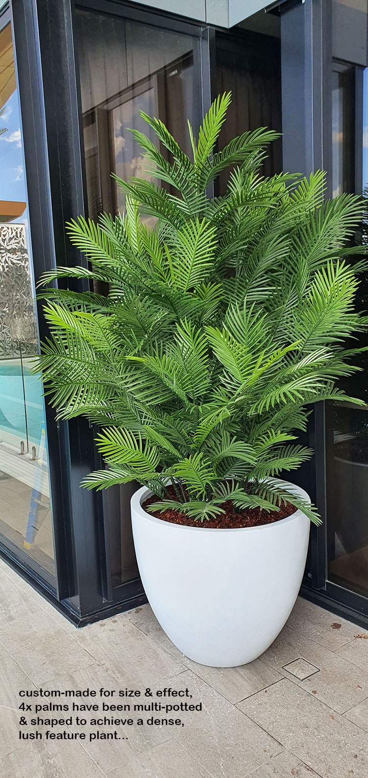 Cane Palm 1.75m-UV stable