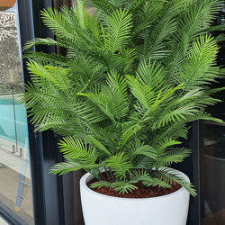 Cane Palm 1.8m deluxe*     UV-stable *extra bushy - artificial plants, flowers & trees - image 4
