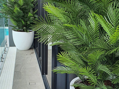 Large, lush UV-treated Palms for penthouse balcony