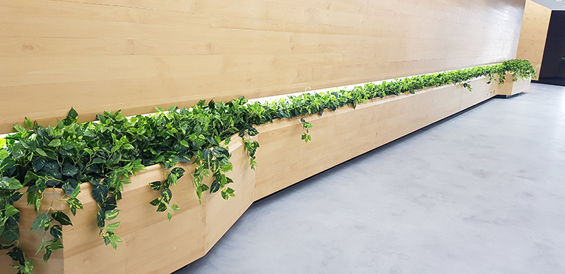 Before & After Shots...... low Planters 3