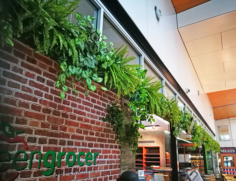 Before & After Shots..... Green-Walls 6