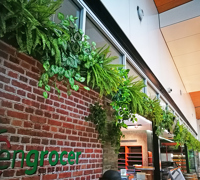 Before & After Shots..... Green-Walls 6