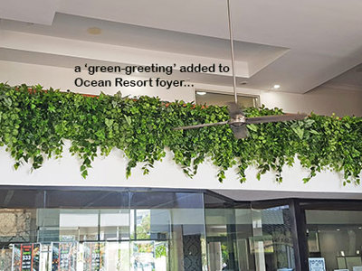 Easy-way to add greenery to a bare wall- resort foyer gets a 'green-hello'