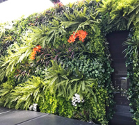 Before & After Shots..... Green-Walls 6