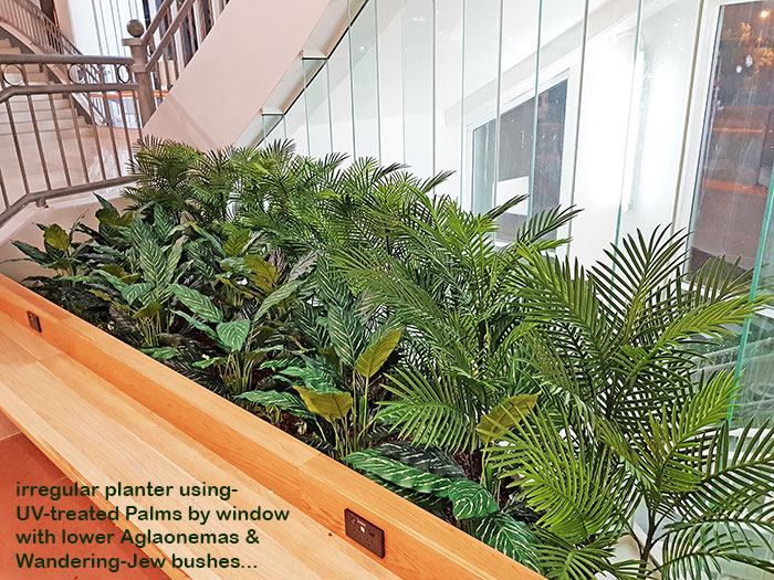 'Greening-up' a Food Court in shopping centre... image 6