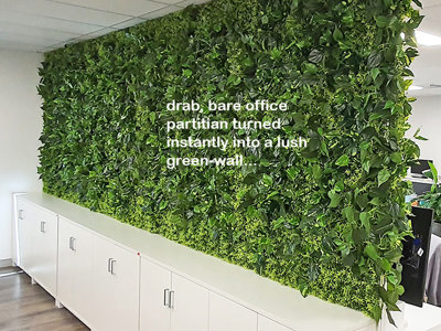 Office Greenery Solutions...fast!