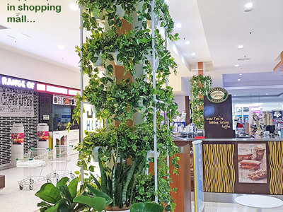 Greenery Trellis in mall freshens-up food court...