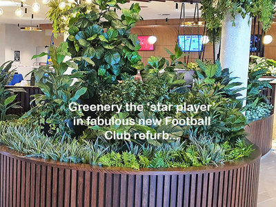 Greenery is 'star player' in fabulous new Football Club refurb...