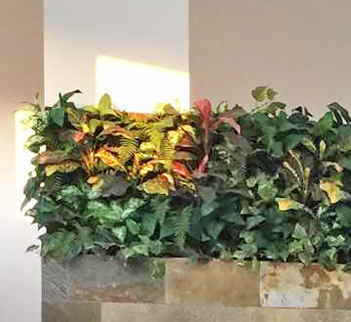 Living Walls- deluxe 120 x 120cm