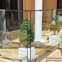 Boxwood Cone 90cm UV - artificial plants, flowers & trees - image 2