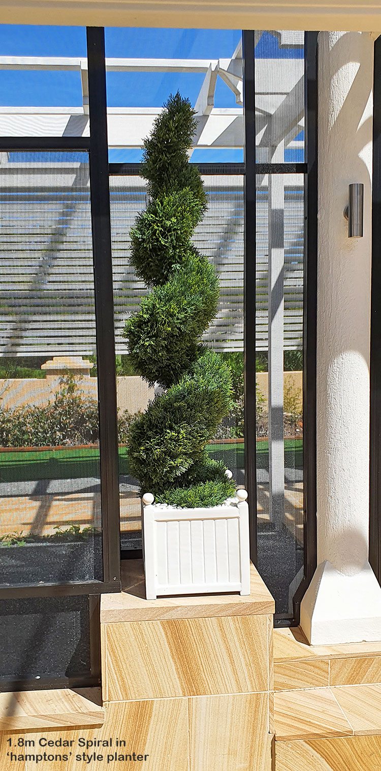 Cedar Spirals 1.5m UV