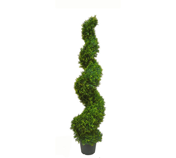 Cedar Spirals 1.5m UV