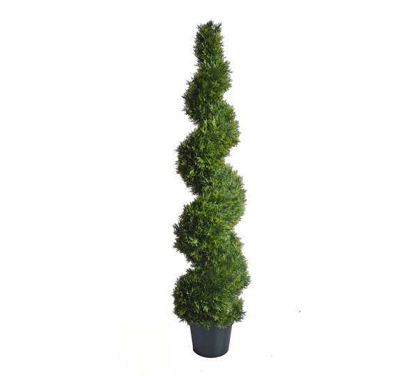 Cedar Spirals 1.8m UV