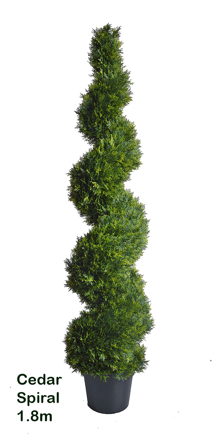 Cedar Spirals 1.8m UV