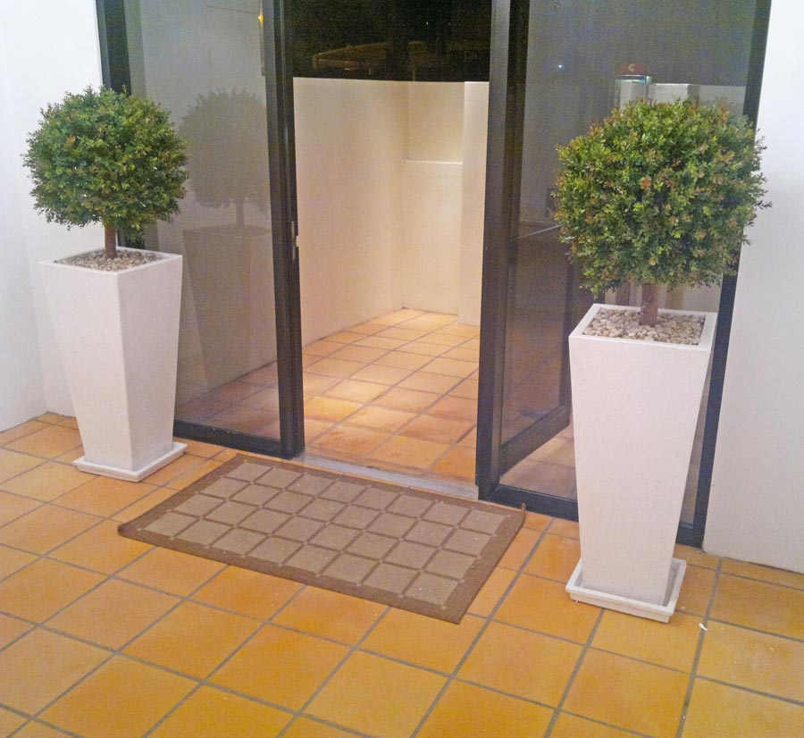Boxwood Topiary 55cm UV