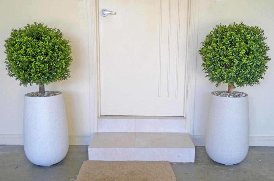 Boxwood Topiary 55cm UV