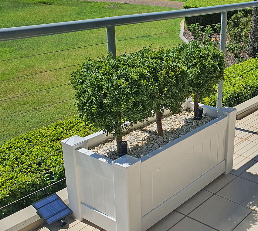 Boxwood Topiary 55cm UV