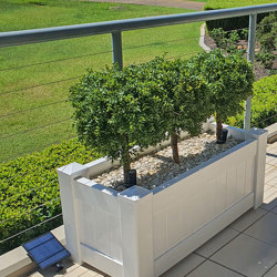 Boxwood Topiary 55cm UV - artificial plants, flowers & trees - image 9