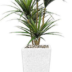 Dracaena- mini-yucca 1.2m with 4 heads - artificial plants, flowers & trees - image 3