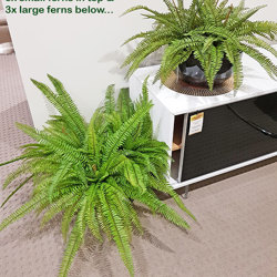 Fish-bone Ferns [large] - artificial plants, flowers & trees - image 8