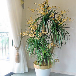 Orchid Trees 1.2m - artificial plants, flowers & trees - image 3