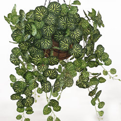 Hanging Baskets- Saxifragia {small} - artificial plants, flowers & trees - image 2