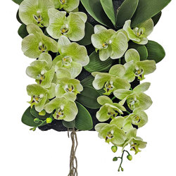 Orchid Wall-Plaque green flowers - artificial plants, flowers & trees - image 3