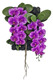 Orchid Wall-Plaque purple flowers