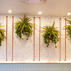 Fish-bone Ferns [large] - artificial plants, flowers & trees - image 7