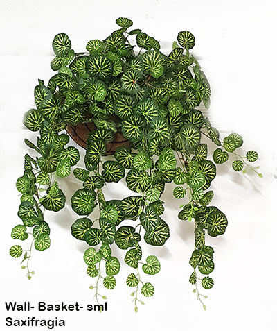 Wall-Baskets Saxifragia- sml