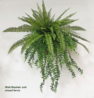 Wall-Baskets Mixed Ferns-sml