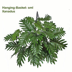 Hanging Baskets- Xanadus (medium] - artificial plants, flowers & trees - image 1