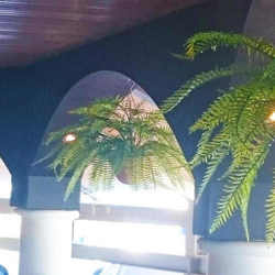 Hanging Baskets- Ferns (small) - artificial plants, flowers & trees - image 1